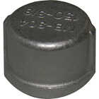 Lasco 3/8 In. Female Iron Pipe 301 Stainless Steel Cap Image 1