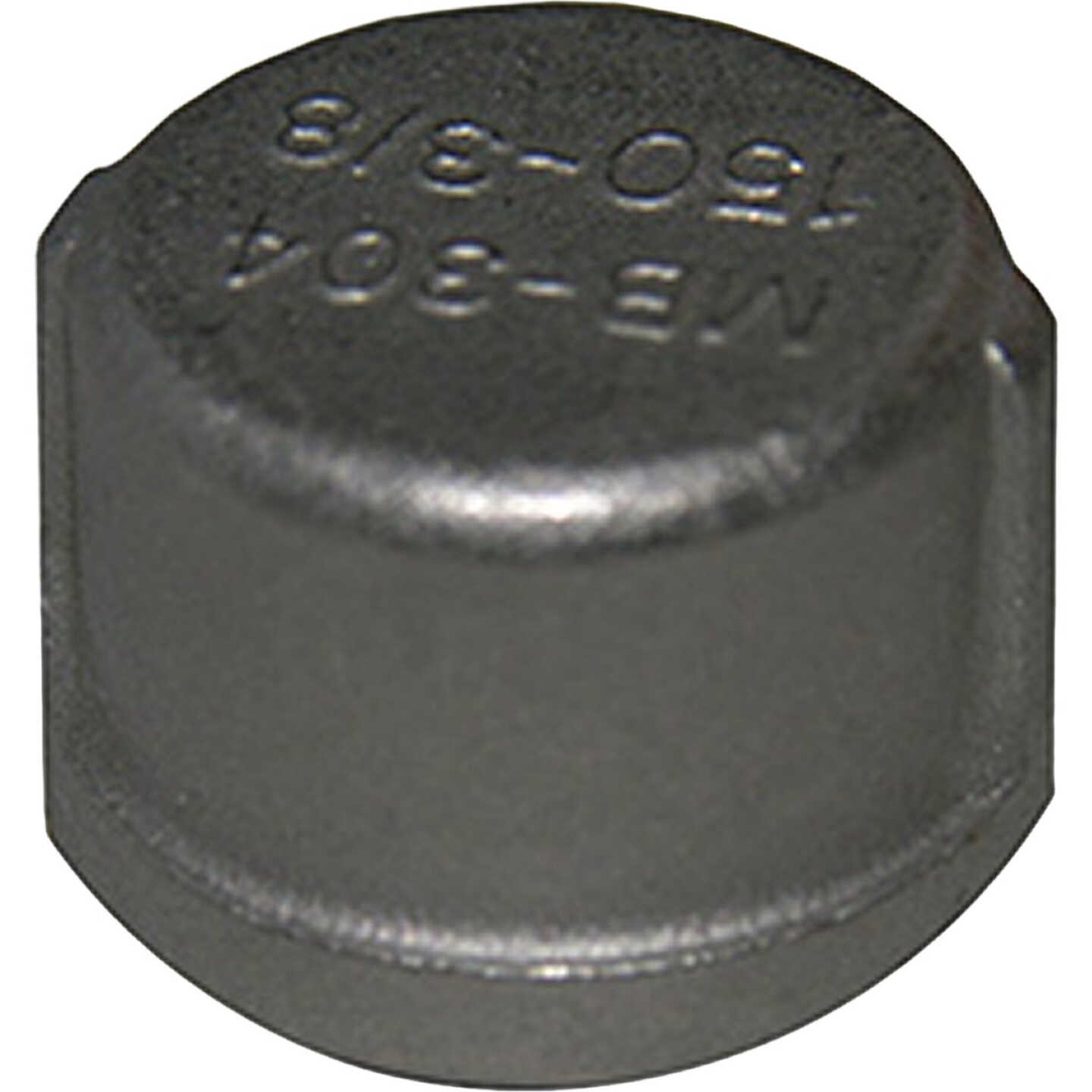 Lasco 3/8 In. Female Iron Pipe 301 Stainless Steel Cap Image 1