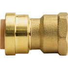 QuickFitting 1/2 In. Push-to-Connect x 1/2 In. FNPT Brass Straight Female Adapter Image 4