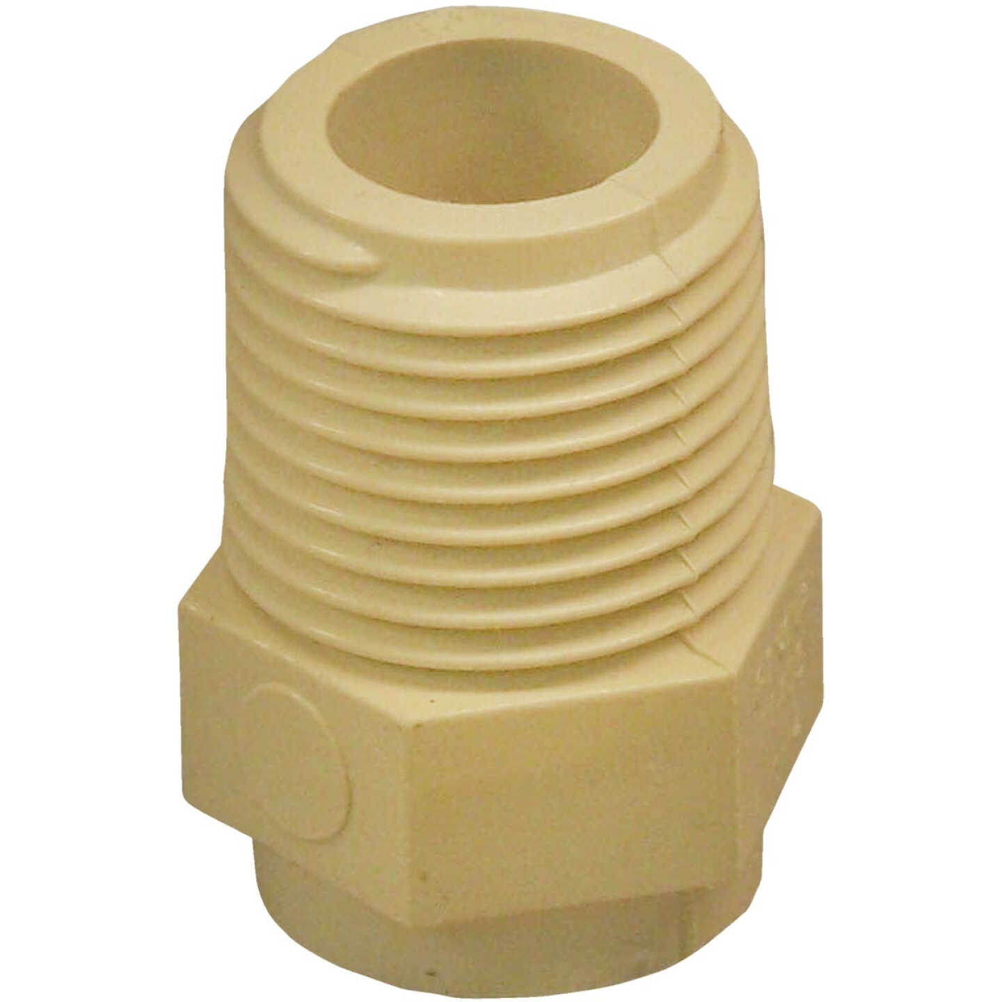 Charlotte Pipe 1/2 In. Male Thread to CPVC Adapter (10-Pack) Image 1