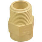 Charlotte Pipe 3/4 In. Male Thread to CPVC Adapter (10-Pack) Image 1