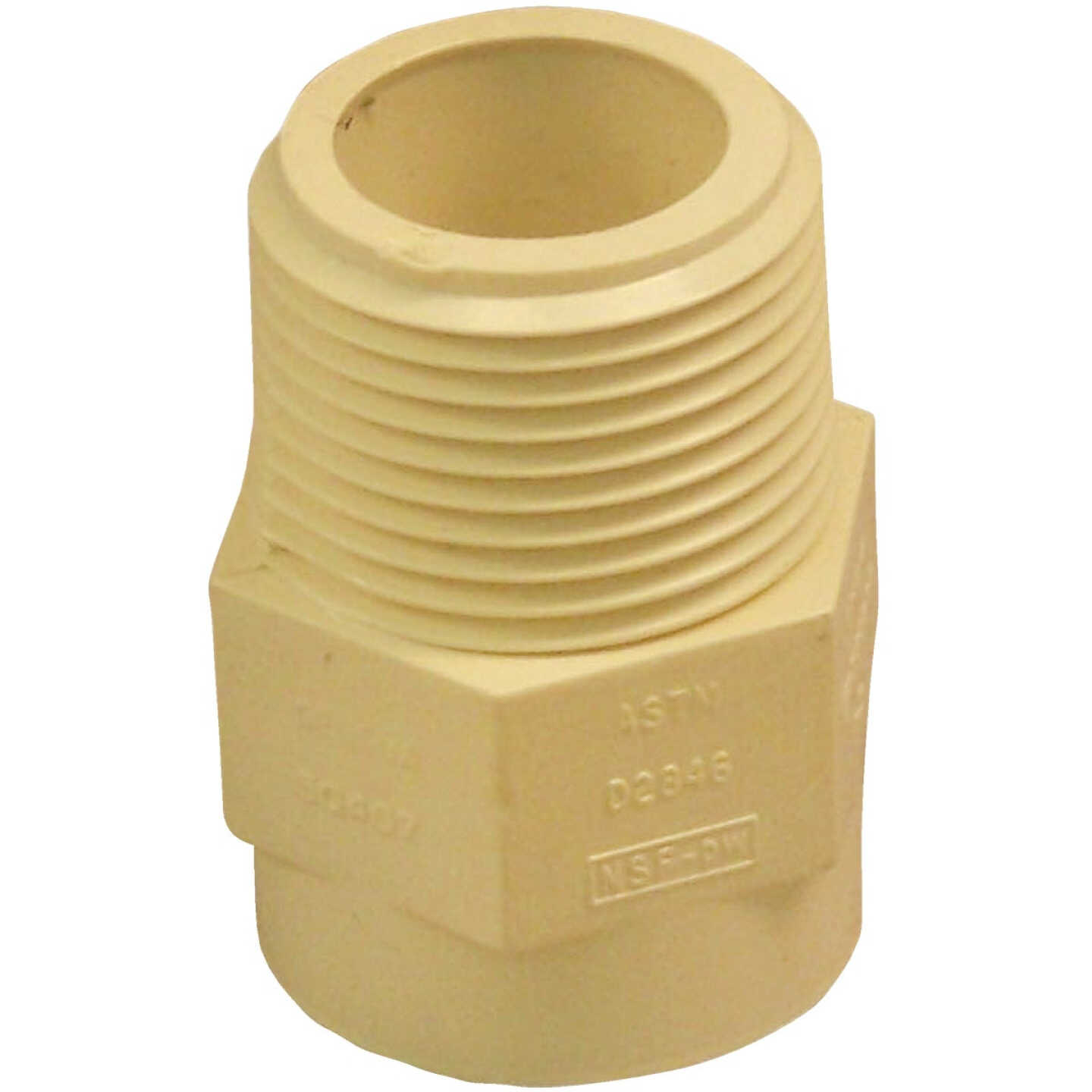 Charlotte Pipe 3/4 In. Male Thread to CPVC Adapter (10-Pack) Image 1