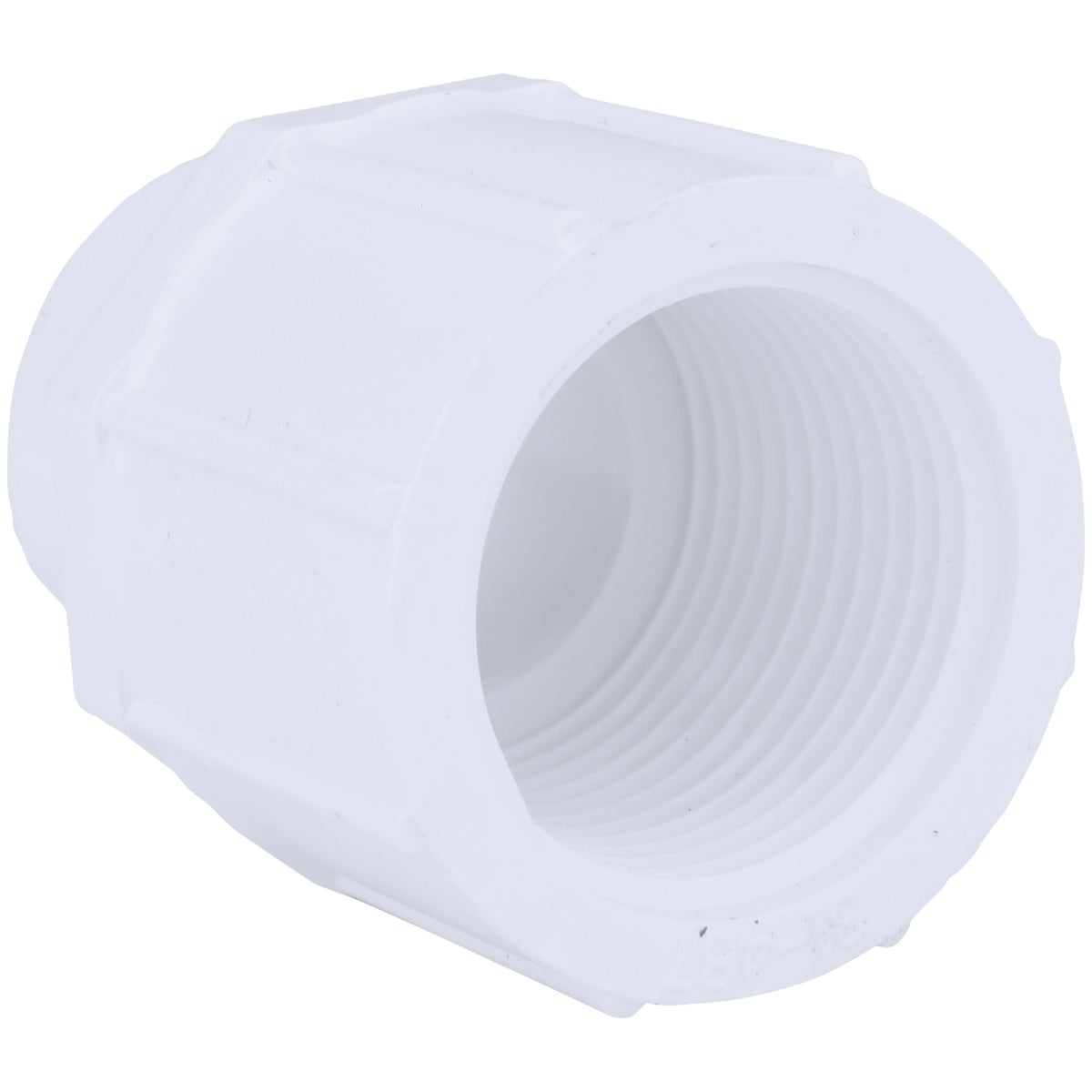 Charlotte Pipe 3/4 In. x 1 In. Schedule 40 Female PVC Adapter