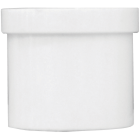 Charlotte Pipe Schedule 40 2 in. Spigot PVC Spigot Plug Image 1