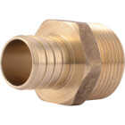 SharkBite 1 In. CF x 1 In. MPT Brass PEX Adapter Image 1