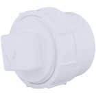 Charlotte Pipe 2 In. SPG x 2 In. FIP Schedule 40 DWV PVV Cleanout with Threaded Plug Image 1