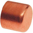 NIBCO 1/2 In. Sweat/Solder Copper Tube Cap Image 1
