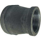 Southland 1/2 In. x 3/8 In. Malleable Black Iron Reducing Coupling Image 1
