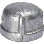 Southland 1/4 In. Malleable Iron Galvanized Cap Image 1