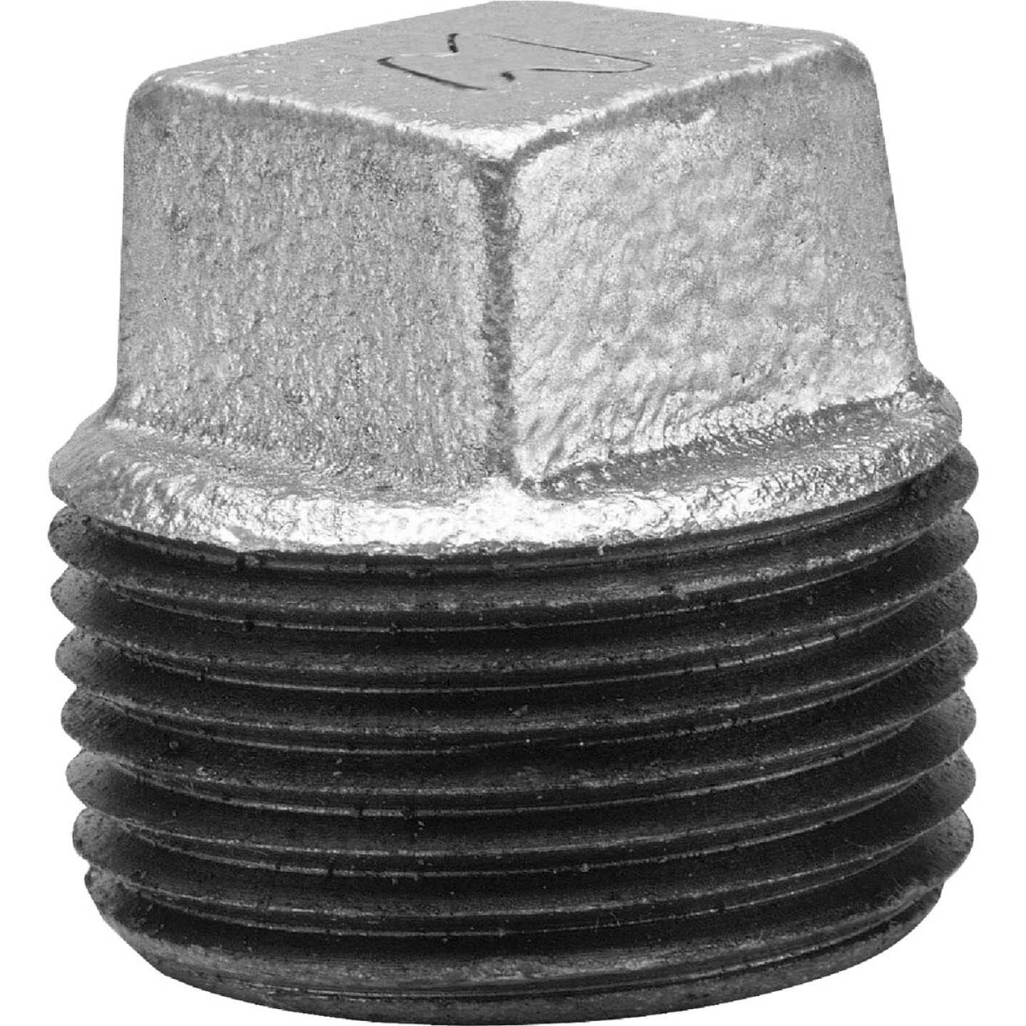 Anvil 3/4 In. Malleable Iron Galvanized Plug Image 1