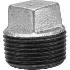 Anvil 1 In. Malleable Iron Galvanized Plug Image 1