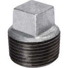 Southland 1/4 In. Malleable Iron Galvanized Plug Image 1