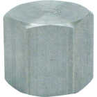 Anvil 1/8 In. Malleable Iron Galvanized Cap Image 1