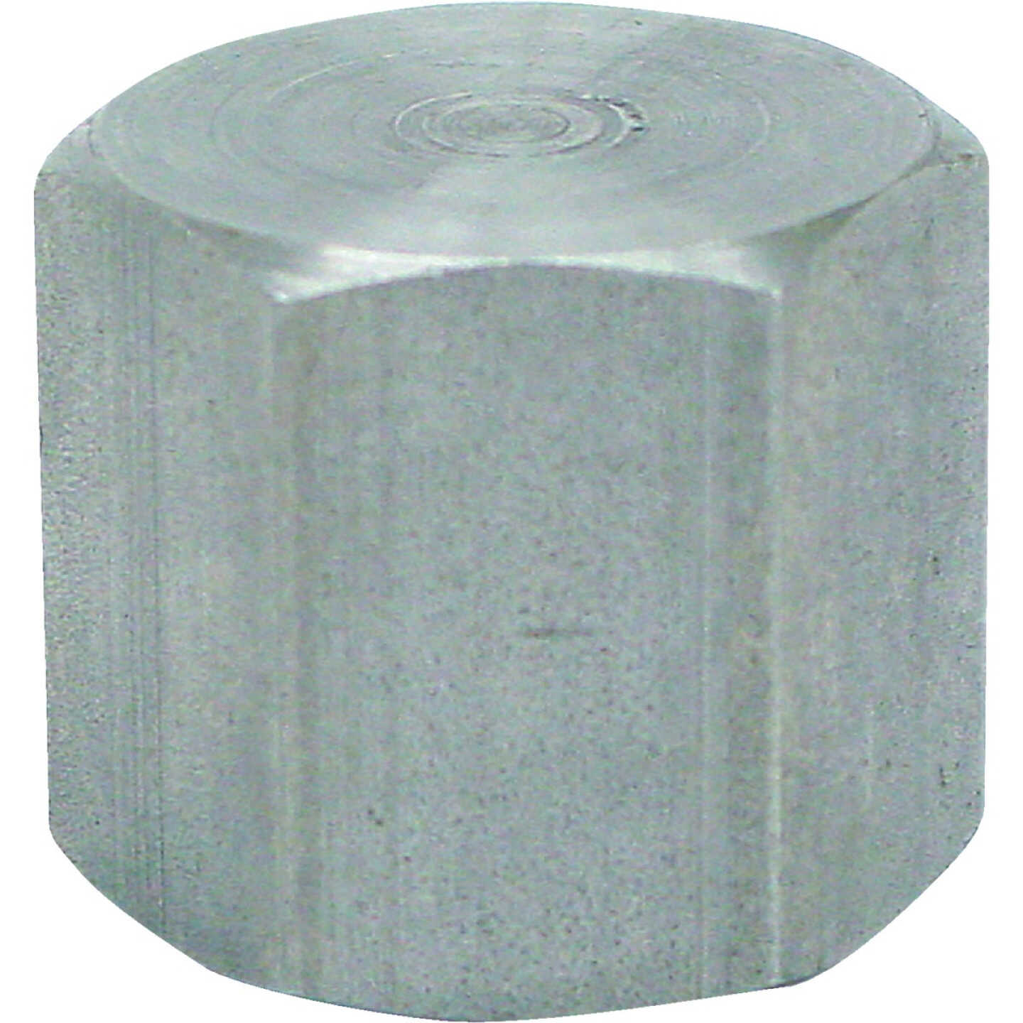 Anvil 1/8 In. Malleable Iron Galvanized Cap Image 1