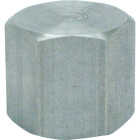 Anvil 1/4 In. Malleable Iron Galvanized Cap Image 1