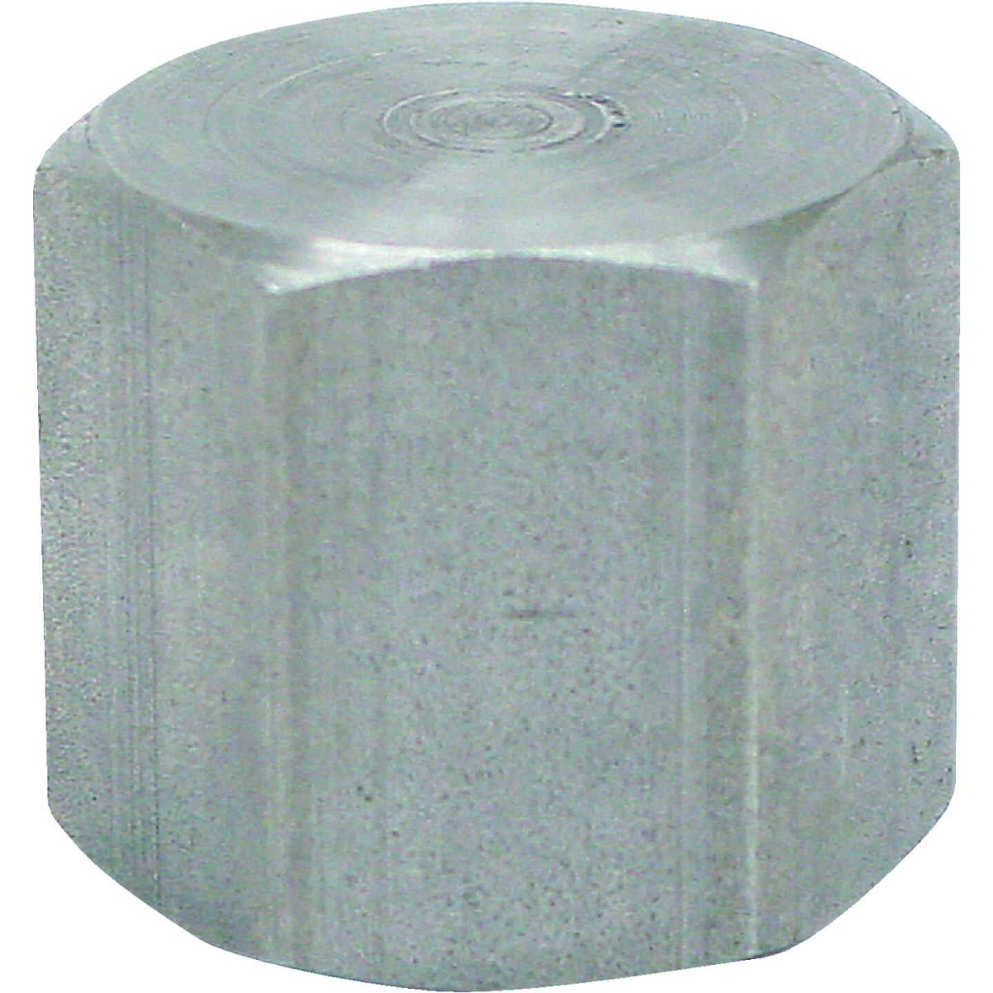 Anvil 1/4 In. Malleable Iron Galvanized Cap Image 1