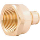 SharkBite PEX-A Brass 1/2 In. x 3/4 In. FNPT Adapter Image 1
