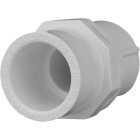 Charlotte Pipe Female Schedule 40 1/2 in. PVC Adapter Image 1