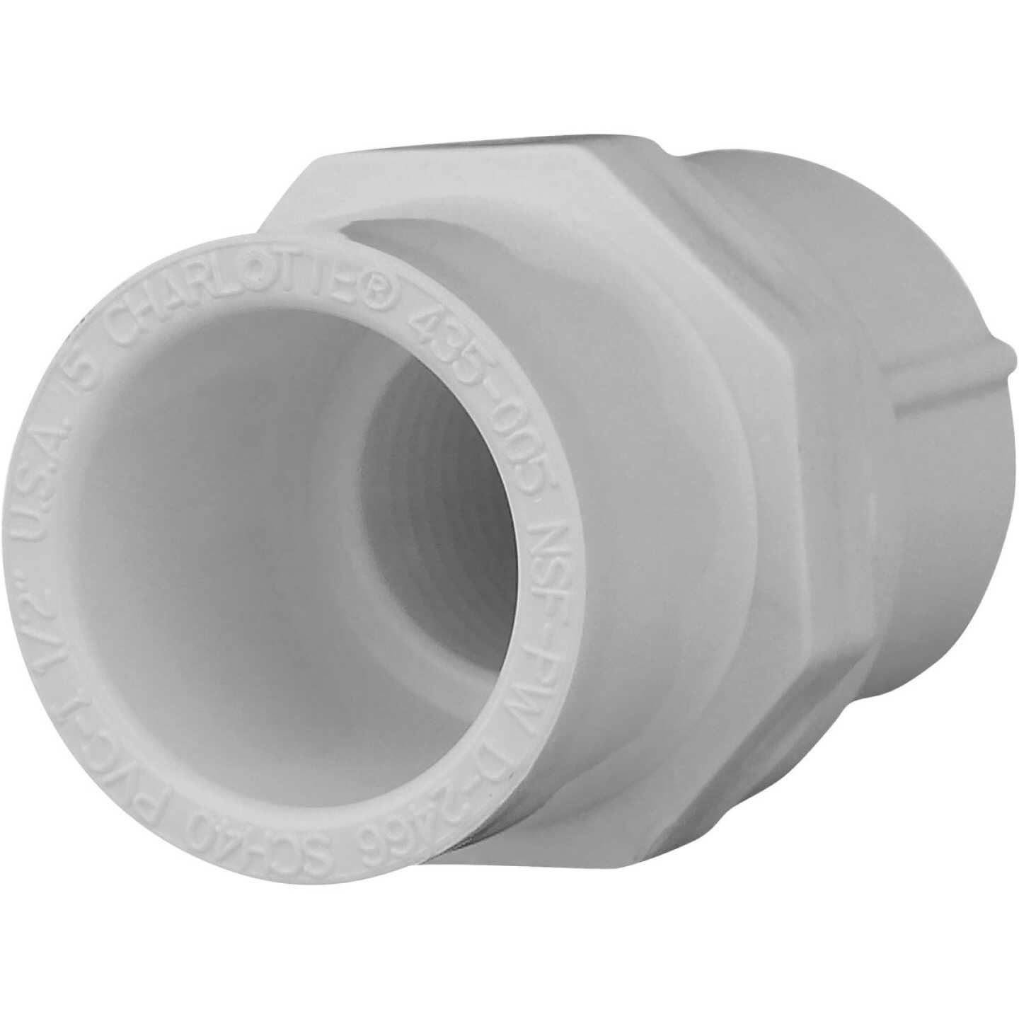 Charlotte Pipe Female Schedule 40 1/2 in. PVC Adapter Image 1