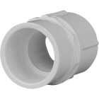 Charlotte Pipe Female Schedule 40 3/4 in. PVC Adapter Image 1