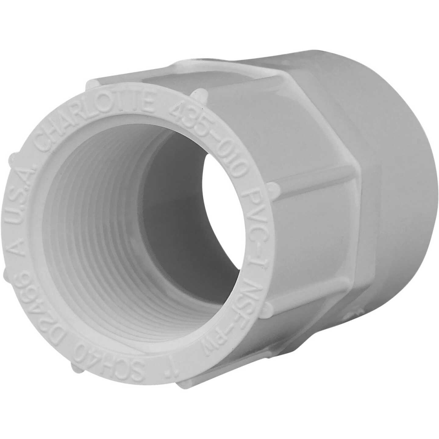 Charlotte Pipe Female Schedule 40 1 in. PVC Adapter Image 1