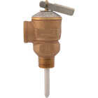 Cash Acme 1/2 In. NCLX-1 Temperature & Pressure Relief Valve Image 1