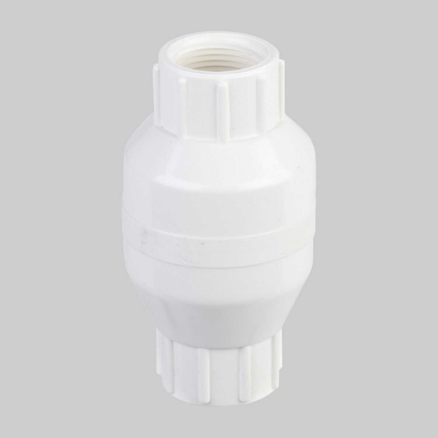 ProLine PVC 3/4 In. FIP x 3/4 In. FIP In-Line Check Valve Image 1