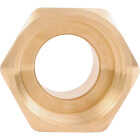 SharkBite PEX-A Brass 1 In. x 1 In. FNPT Adapter Image 4