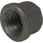 Anvil 1/2 In. Malleable Black Iron Cap Image 1
