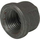 Anvil 2 In. Malleable Black Iron Cap Image 1