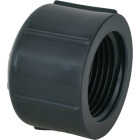 Charlotte Pipe 1 In. Threaded Gray Schedule 80 Cap Image 1
