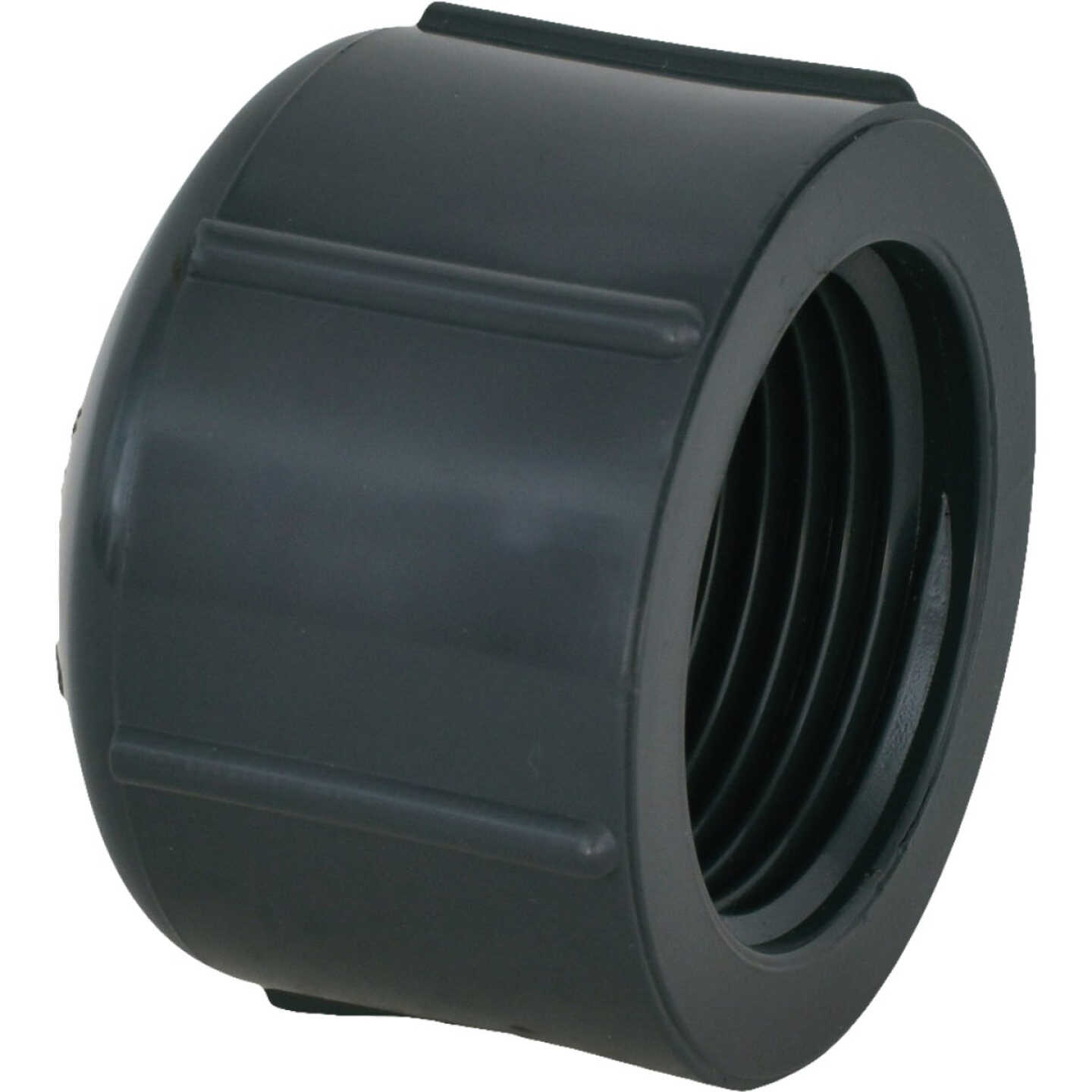 Charlotte Pipe 1 In. Threaded Gray Schedule 80 Cap Image 1