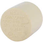 Charlotte Pipe 1/2 In. Slip Solvent Weld CPVC Cap Image 1