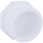 Charlotte Pipe Threaded Schedule 40 2 In. MIP PVC Plug Image 1