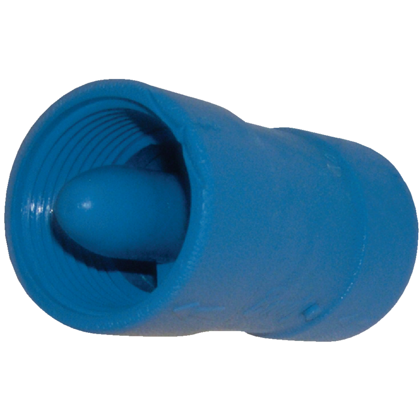 Campbell Brady 1 In. Acetal Polymer Spring Loaded Check Valve Image 1
