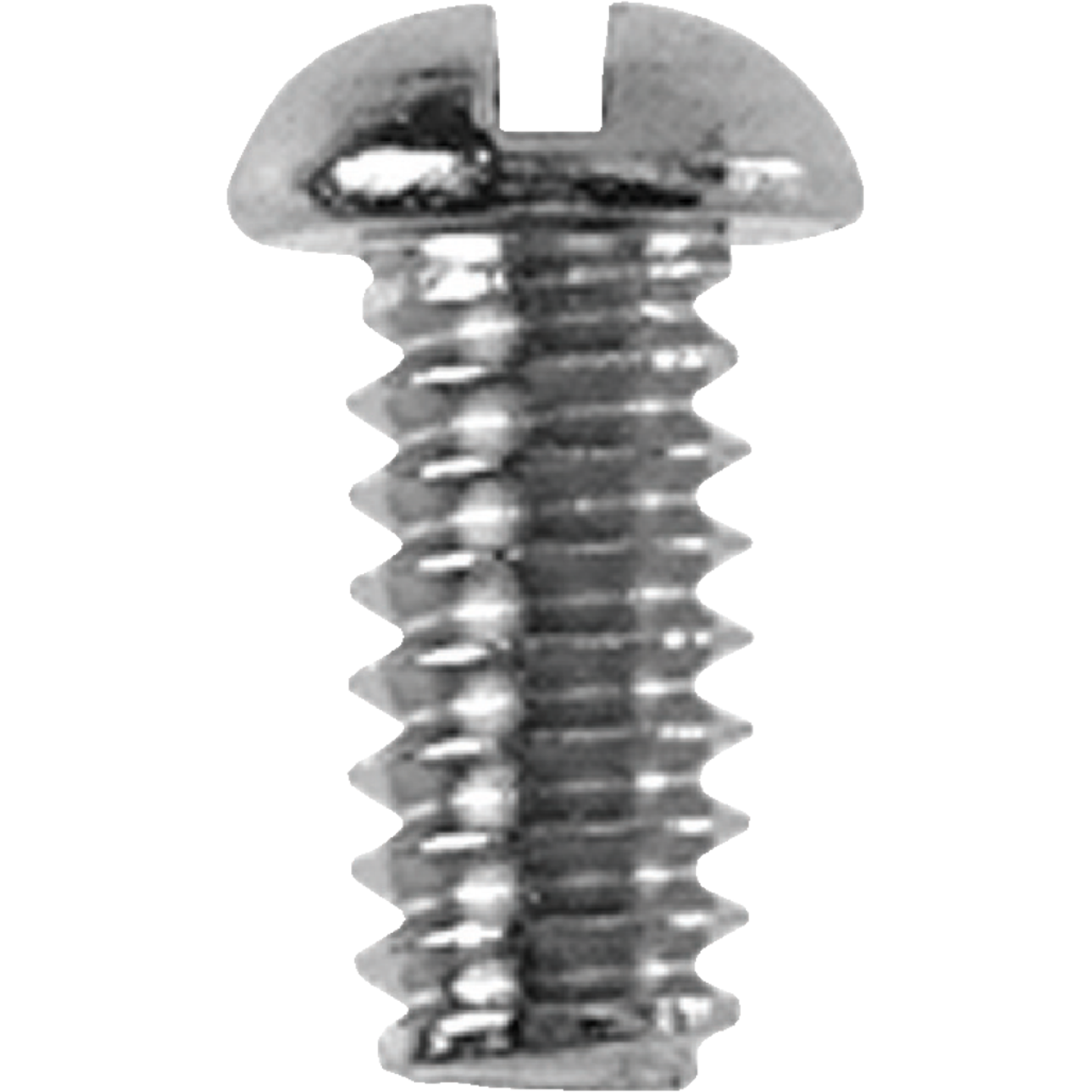 Danco Bibb 3/8 In. #10 Faucet Screw Image 1