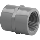 Charlotte Pipe 1/2 In. FIP x FIP PVC Coupling Image 1