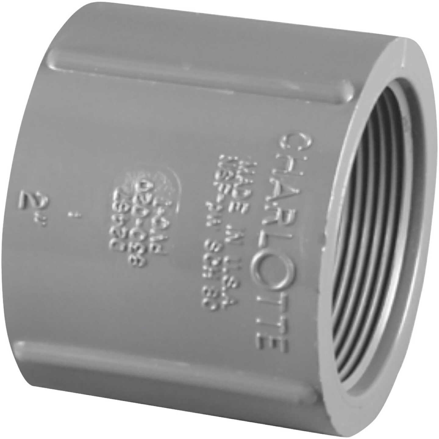 Charlotte Pipe 1-1/2 In. FIP x FIP PVC Coupling Image 1