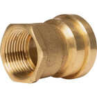 QuickFitting 1 In. Push-to-Connect x 1 In. FNPT Brass Straight Female Adapter Image 4