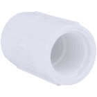 Charlotte Pipe 1/2 In. FIP Sch. 40 Threaded PVC Coupling Image 1