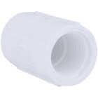 Charlotte Pipe 3/4 In. FIP Sch. 40 Threaded PVC Coupling Image 1