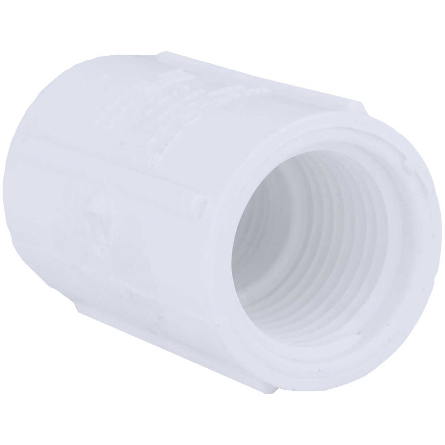 Charlotte Pipe 3/4 In. FIP Sch. 40 Threaded PVC Coupling Image 1