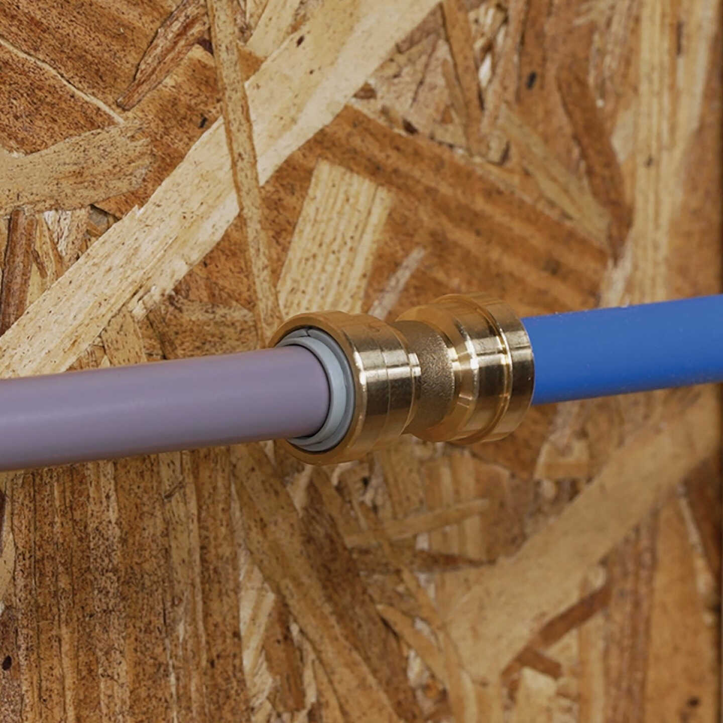 QuickFitting 3/4 In. x 3/4 In. Push-to-Connect Brass Polybutylene Transition (Conversion) Coupling Image 2