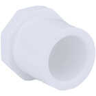 Charlotte Pipe Schedule 40 1/2 in. Spigot PVC Spigot Plug Image 1