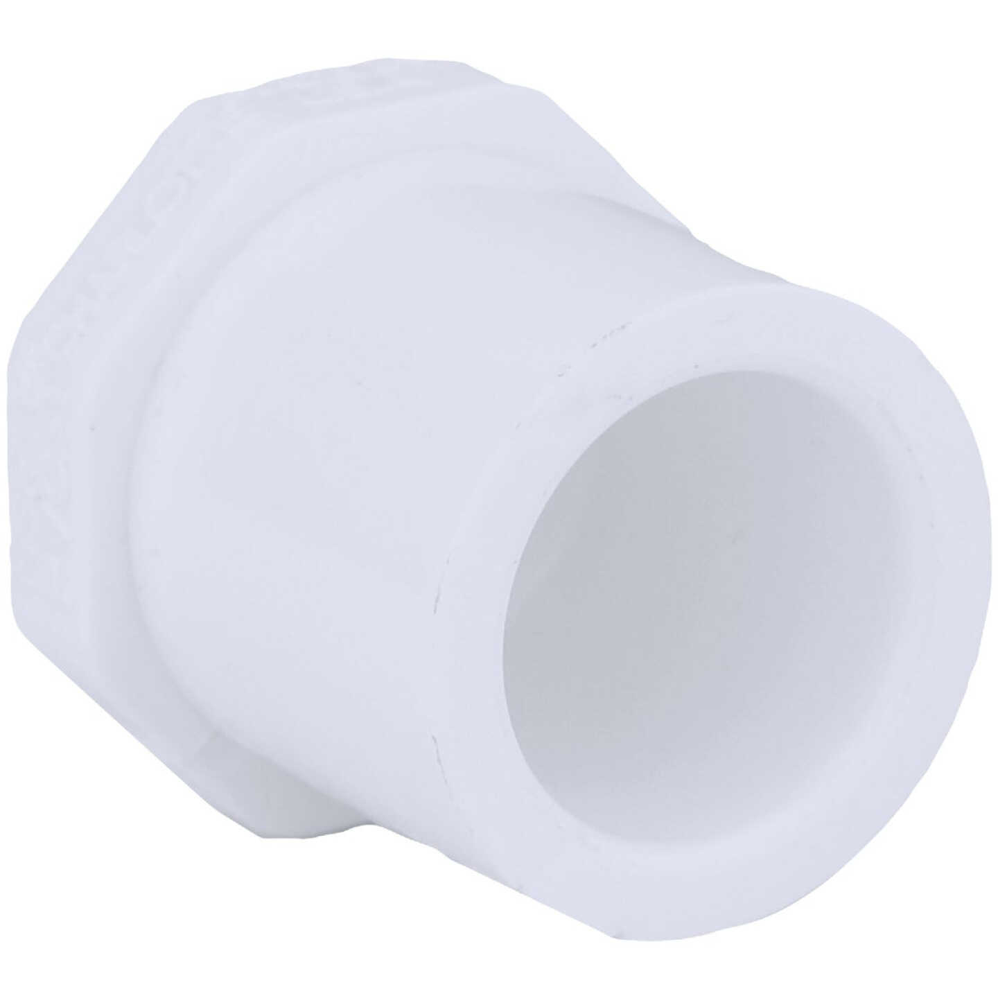Charlotte Pipe Schedule 40 1/2 in. Spigot PVC Spigot Plug Image 1