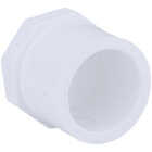 Charlotte Pipe Schedule 40 3/4 in. Spigot PVC Spigot Plug Image 1