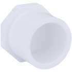 Charlotte Pipe Schedule 40 1 in. Spigot PVC Spigot Plug Image 1