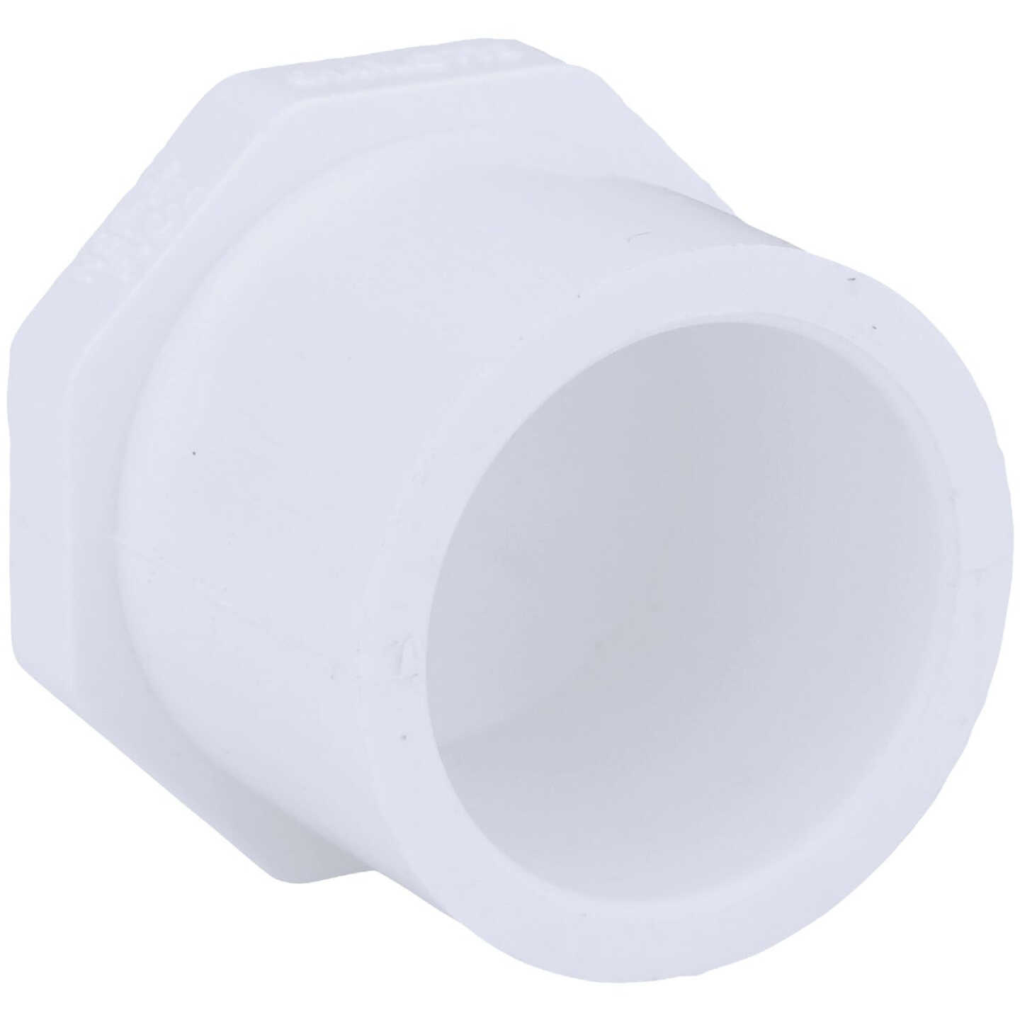 Charlotte Pipe Schedule 40 1 in. Spigot PVC Spigot Plug Image 1