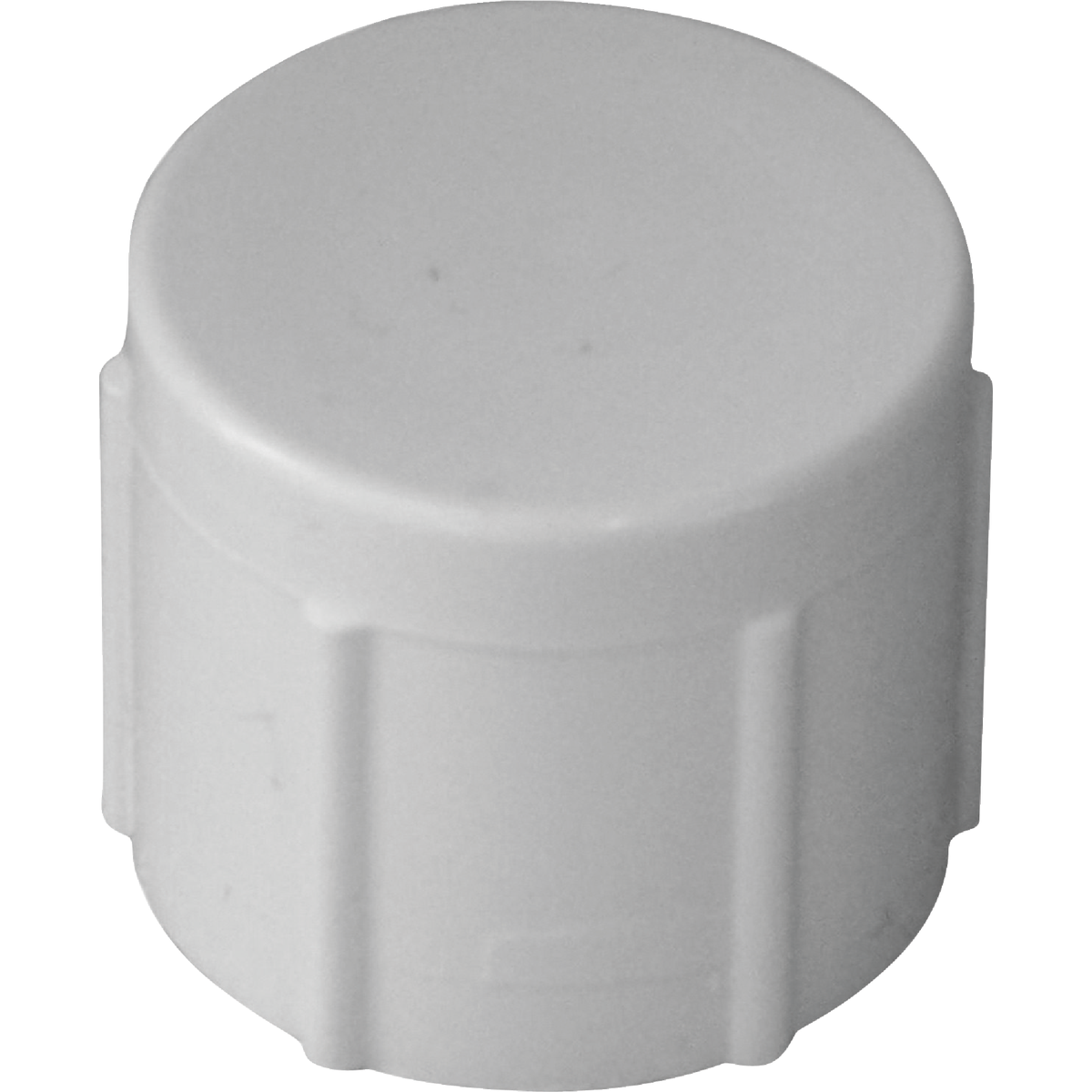Charlotte Pipe 1/2 In. FIP Schedule 40 Threaded PVC Cap