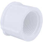 Charlotte Pipe 3/4 In. FIP Schedule 40 Threaded PVC Cap Image 1